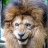 Profilbild von mufoo101
