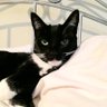 Doris's profile picture