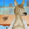 Joey 🦘 的头像
