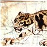 Rex Panther 🐆 profil fotoğrafı