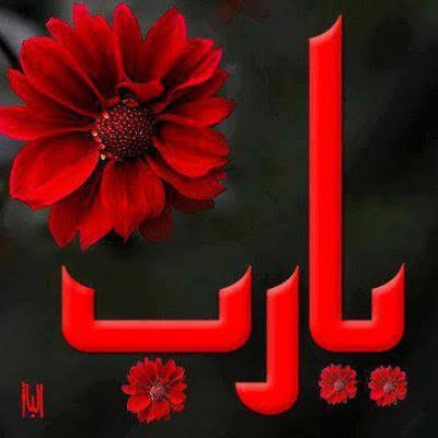 Prince1Ramdan's profile picture