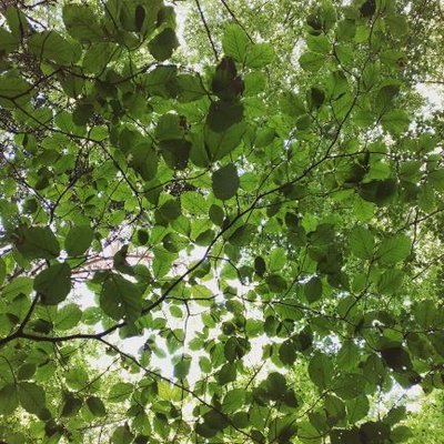 La Kukula's profile picture