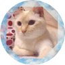c_rnctpk★ profil fotoğrafı
