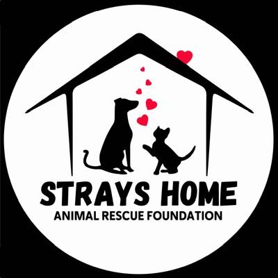 Strays Home - Animal Rescue Foundation®️'s profile picture