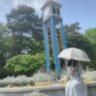 メ ロ ン パ ン はこの世の正義だと思っているちゃんみゆ's profile picture