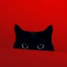 Profilbild von LUCKYSTRIKE2030
