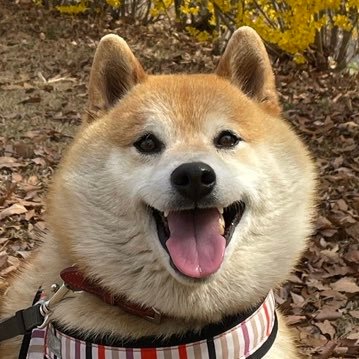 ekoron3's profile picture