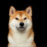 Profilbild von LS