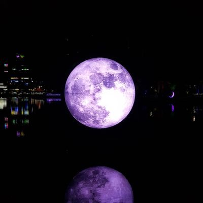 밍끼's profile picture