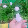 米中星 的头像