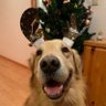 ベルくんママ profil fotoğrafı