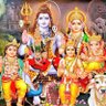 Rajesh Singh's profile picture