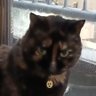 アホのたかお🐾 profil fotoğrafı
