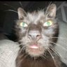UmMano profil fotoğrafı