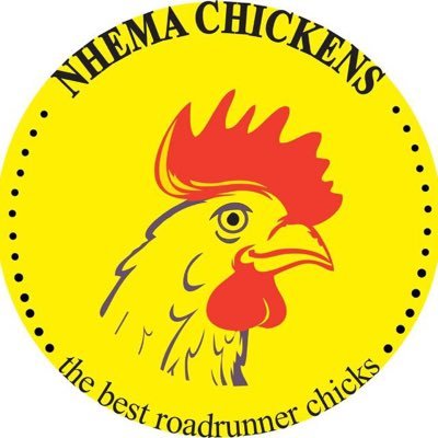 nhemachickens's profile picture