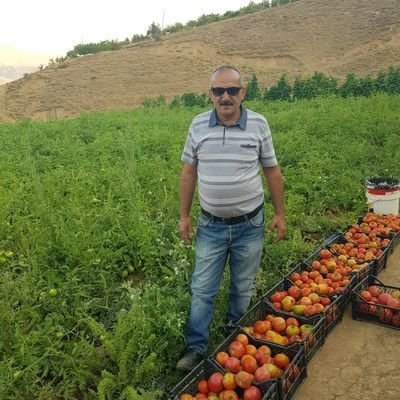 Fahrettin's profile picture