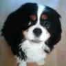 Red's profile picture