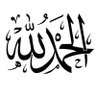 Фото профиля Mohammed albani