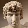 Yao Bird 🇺🇸🏳️🌈's profile picture