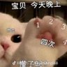 🍑 的头像