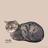 冷眼看世界's profile picture