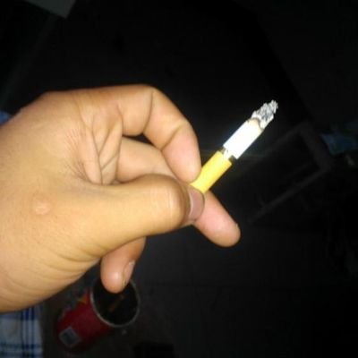 Else_Yu123's profile picture