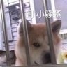 Фото профиля 酒精过敏