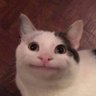 MuriotKUM's profile picture