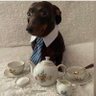 Profilbild von BLAQ