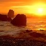 xchinmu78 profil fotoğrafı
