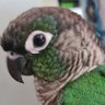 Keys profil fotoğrafı