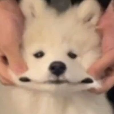 zxdwce's profile picture