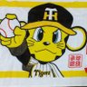 大五田辺's profile picture