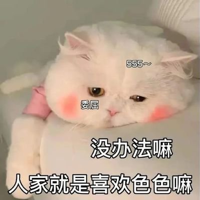yangbiubiu_'s profile picture