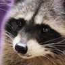 Profilbild von Y