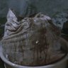 Alfredo Garcia's head's profile picture