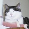 うみかめ profil fotoğrafı