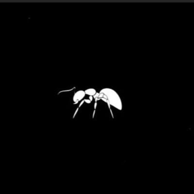 marcochinwa's profile picture