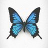 butterflyðŠ's profile picture