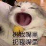Profilbild von 枞下