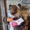 ながこ(nagako)'s profile picture