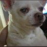 emotional vent I wouldn’t do in my main acc profil fotoğrafı