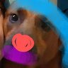 Profilbild von ajwhite