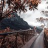 ⵣ profil fotoğrafı