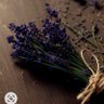 Фото профиля shagafe00