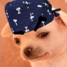 DrVichenzzo 的头像