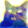 B's profile picture