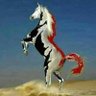 محمد علي الحضوري profil fotoğrafı