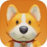 Mr Jiong profil fotoğrafı