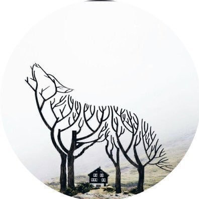 jjlil___'s profile picture